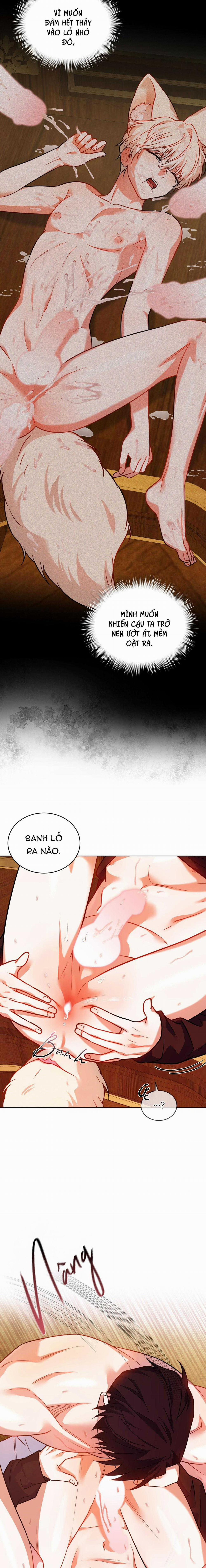 NƯỚC UỐNG TÌNH YÊU CỦA CÁO PLIN 35 trang 2