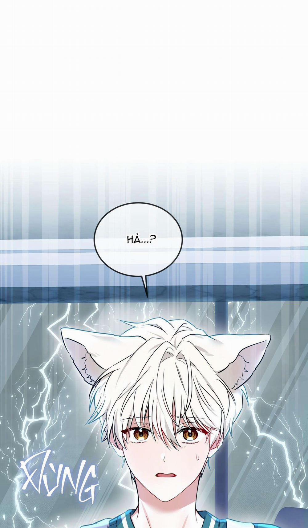 NƯỚC UỐNG TÌNH YÊU CỦA CÁO PLIN 4 trang 1