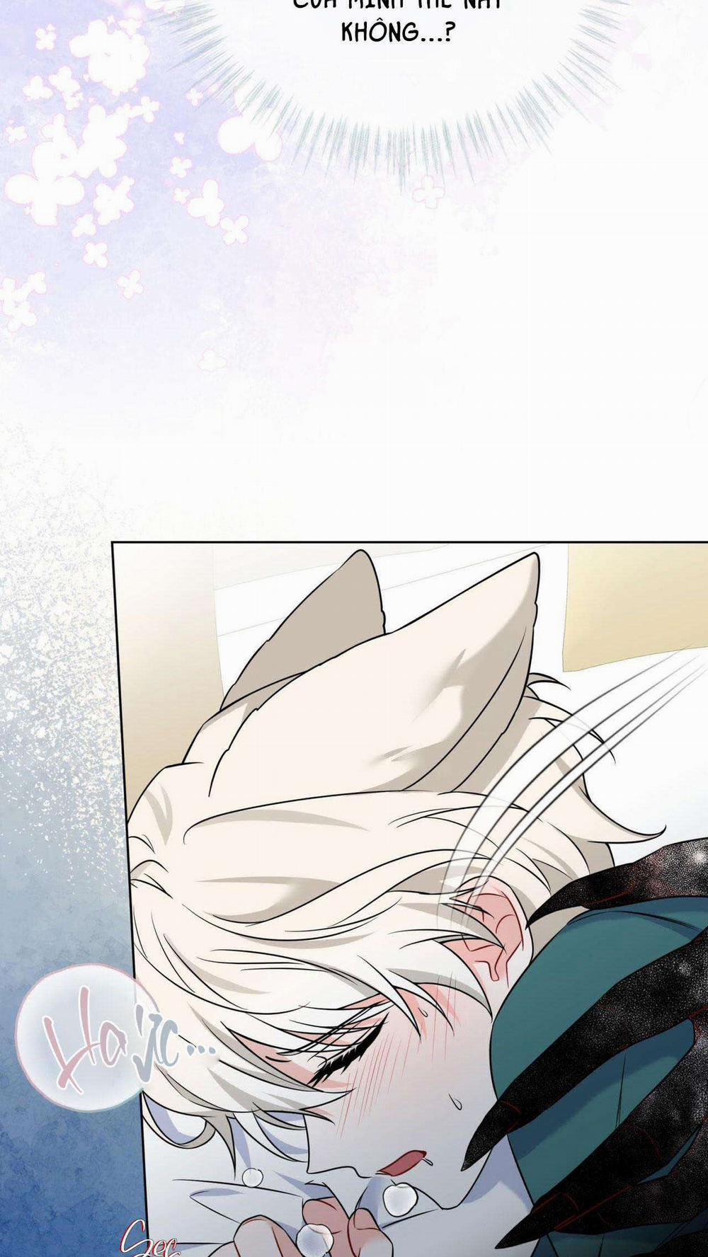 NƯỚC UỐNG TÌNH YÊU CỦA CÁO PLIN 6 trang 25