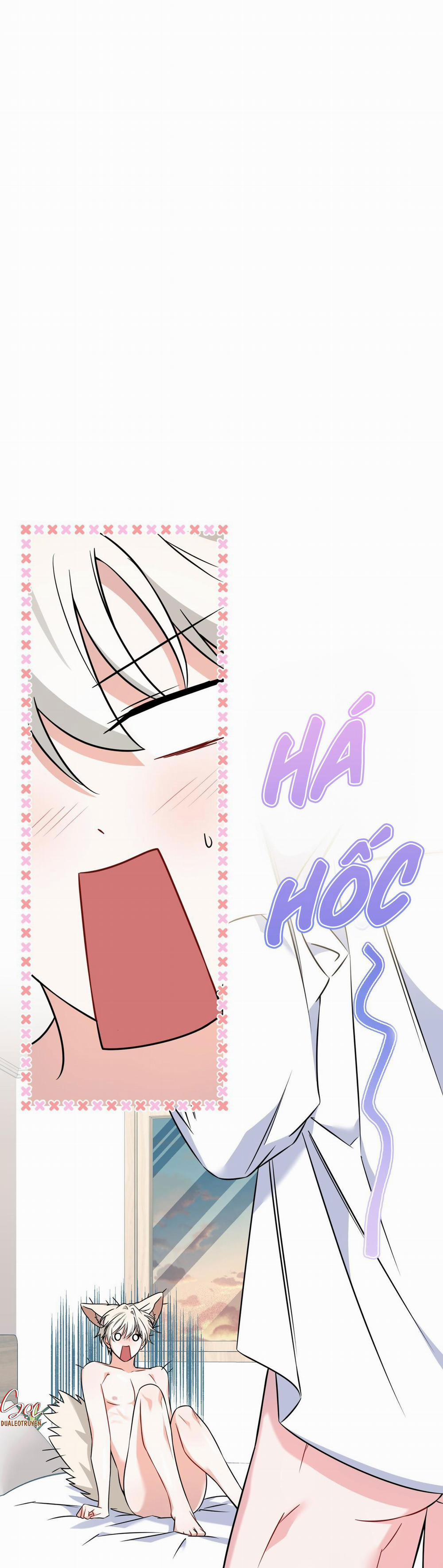 NƯỚC UỐNG TÌNH YÊU CỦA CÁO PLIN 8 H++ trang 1