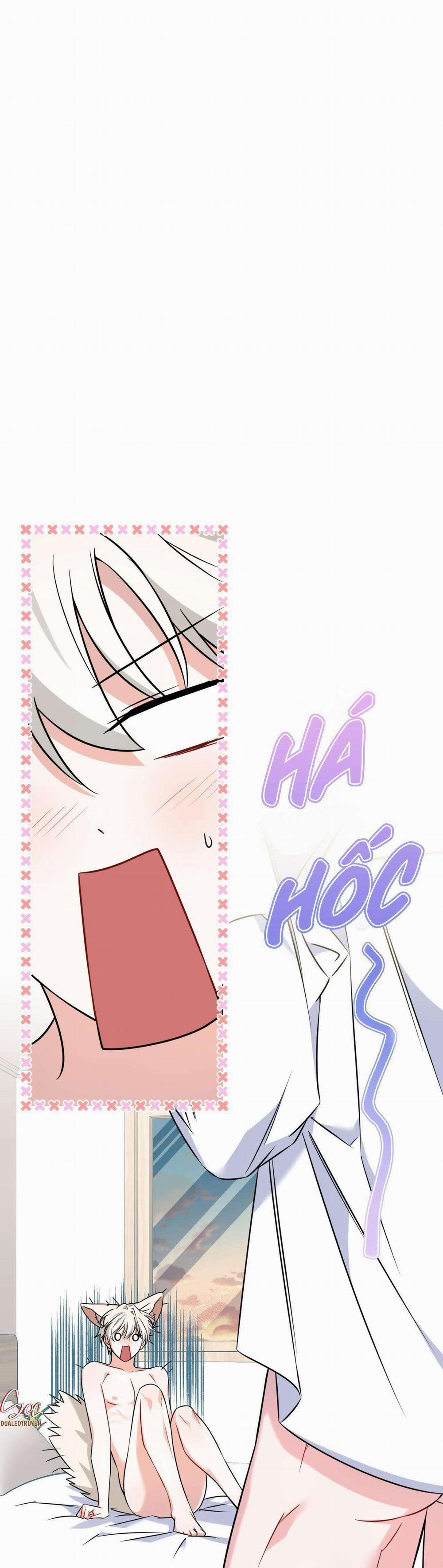 NƯỚC UỐNG TÌNH YÊU CỦA CÁO PLIN 8 trang 1