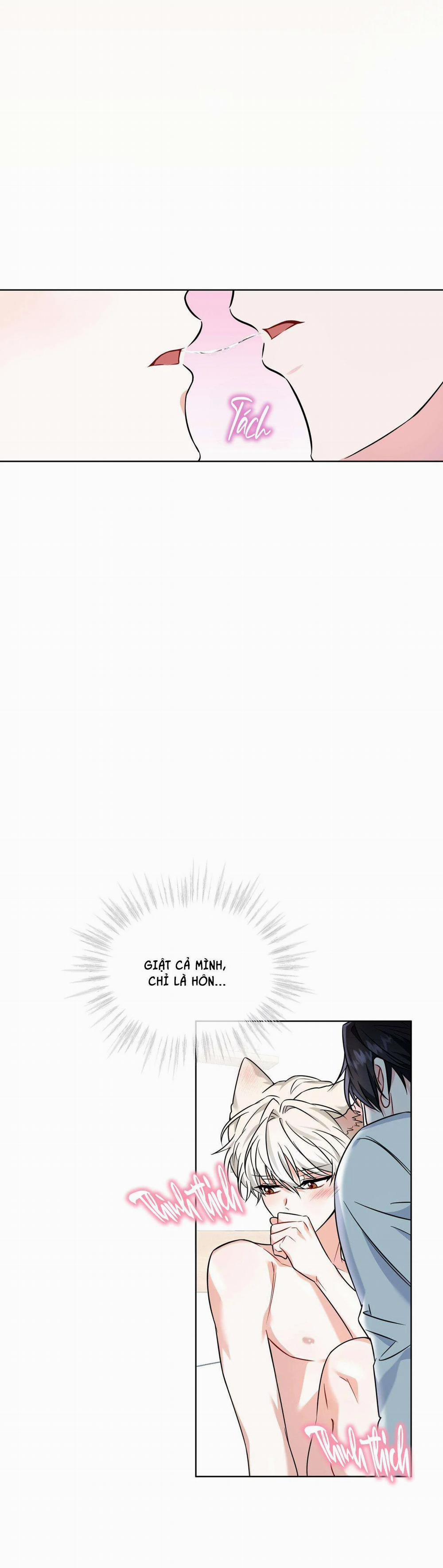 NƯỚC UỐNG TÌNH YÊU CỦA CÁO PLIN 8 trang 5