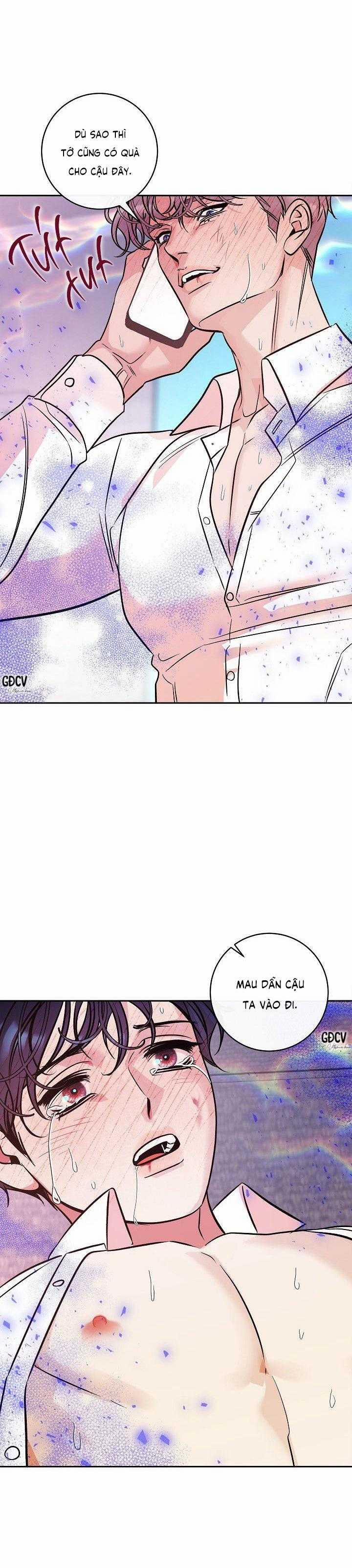 Nuôi Dưỡng Beta 13 trang 20