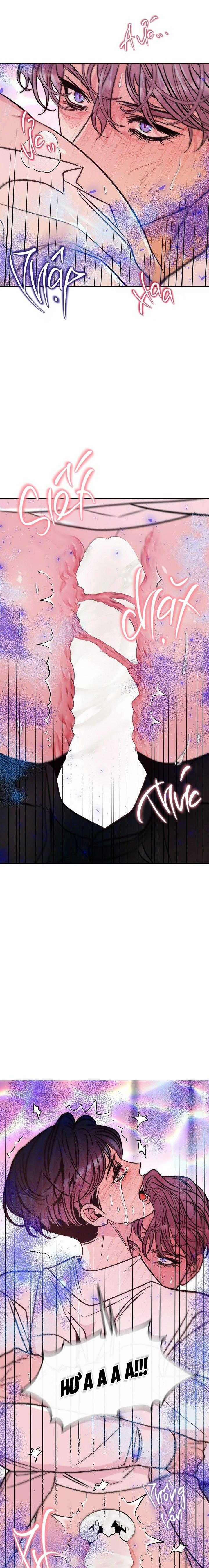 Nuôi Dưỡng Beta 14 trang 16