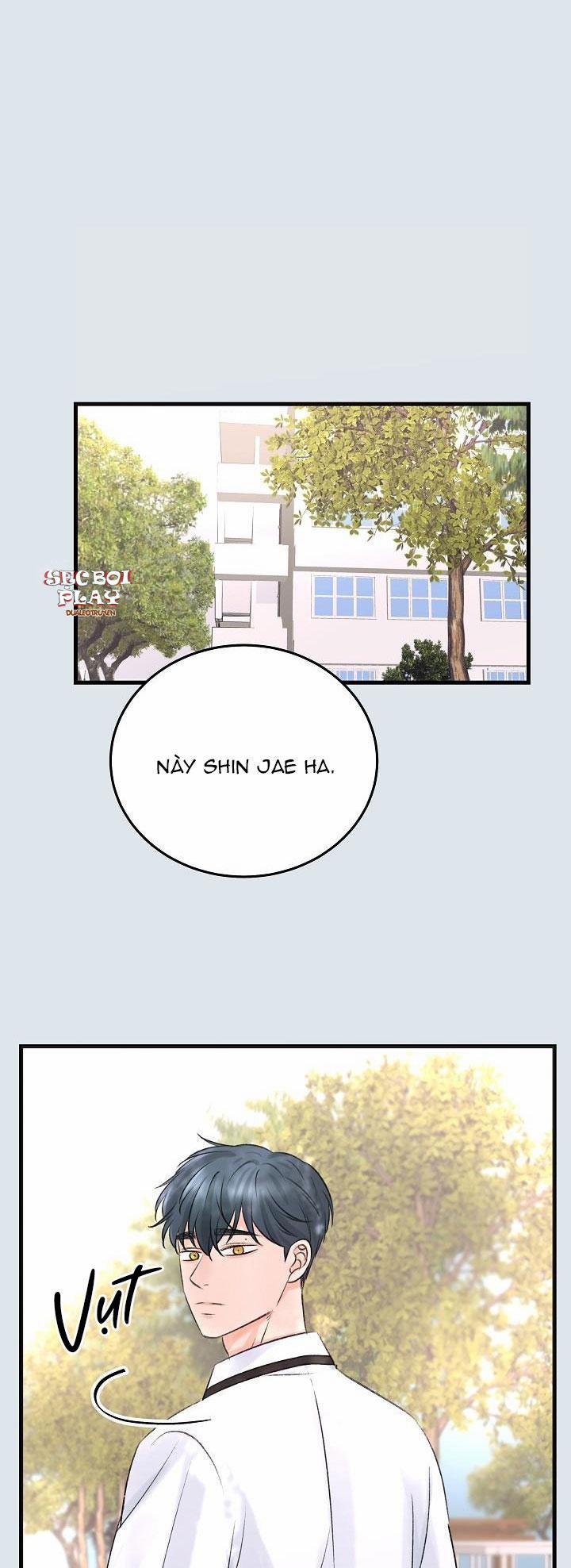 Nuôi dưỡng búp bê 8 trang 24