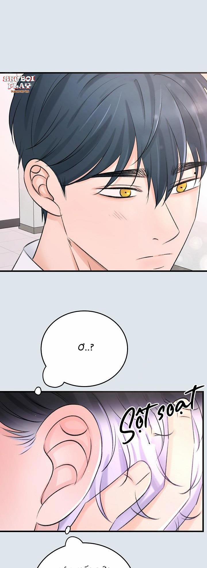 Nuôi dưỡng búp bê 8 trang 33