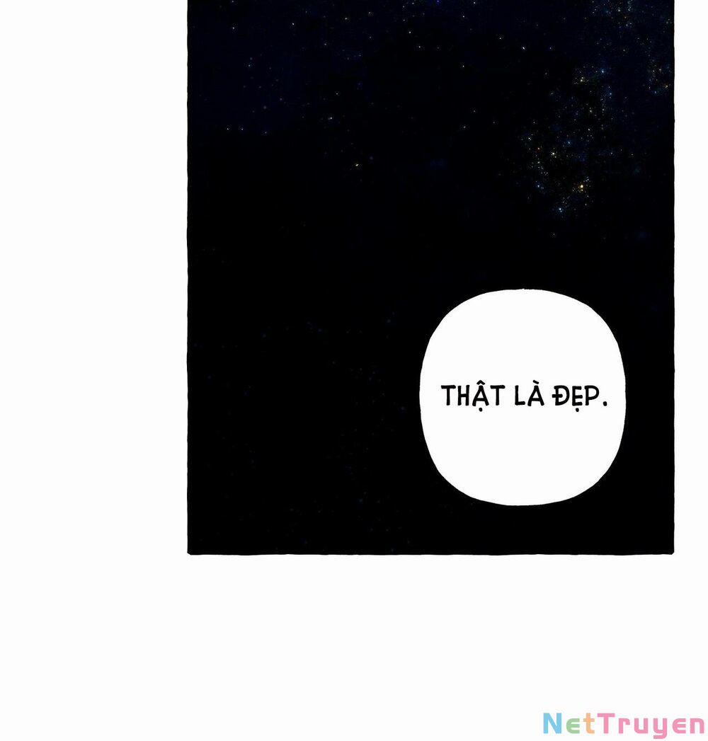 Nuôi Dưỡng Một Bé Rồng Đen 43 trang 51