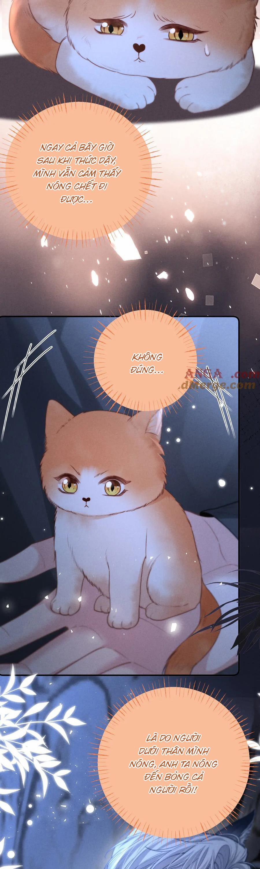 Nuông Chiều Sinh Hư 24 trang 12