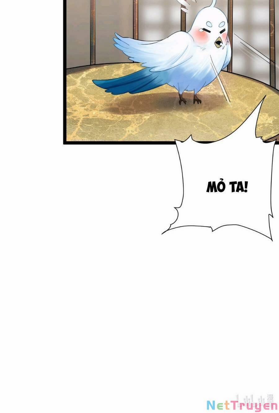 Nương Tử Nhà Ta Là Bạo Quân Nữ Đế Trong Tương Lai 17 trang 43