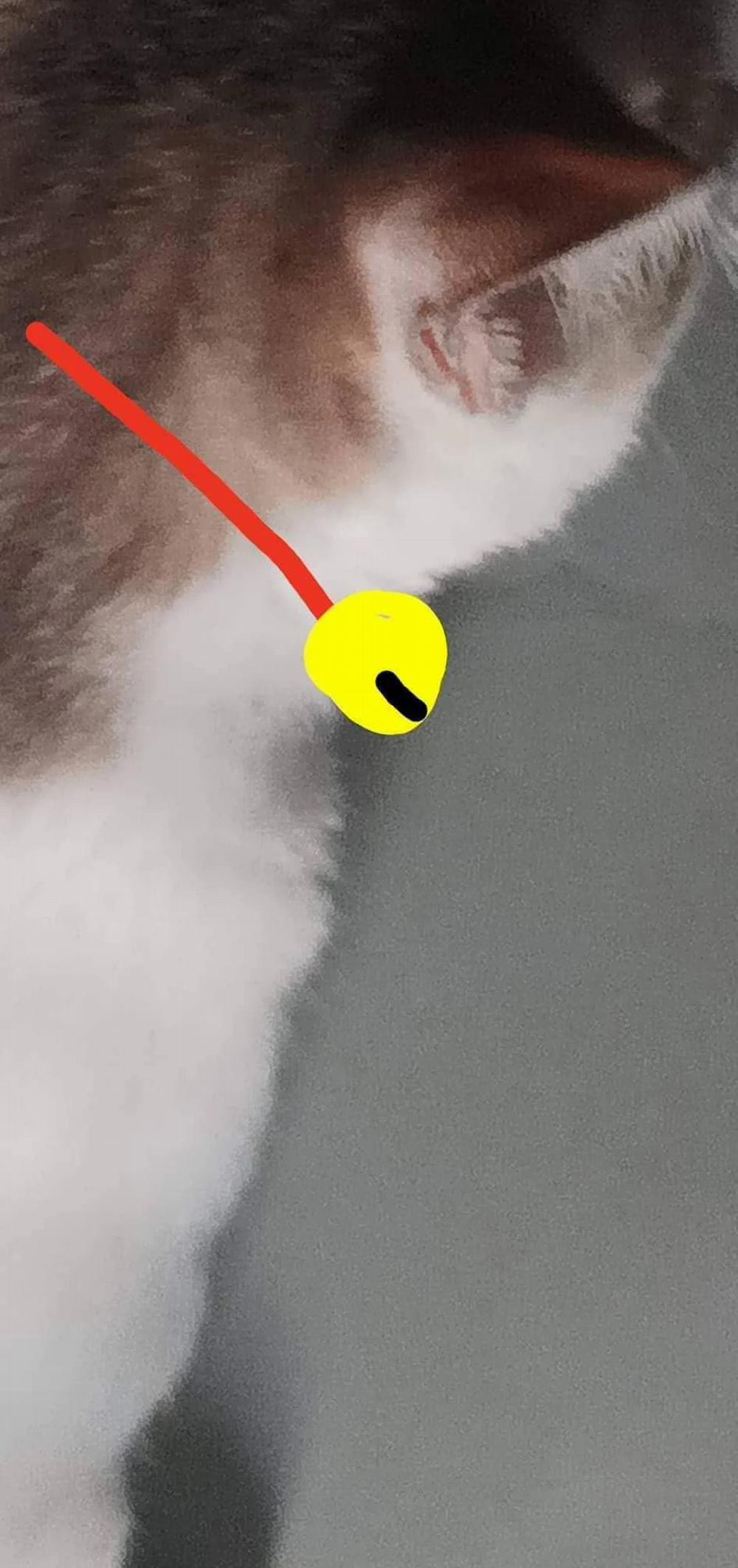 Ở đây có yaoi hơi bị choáy 14 trang 20