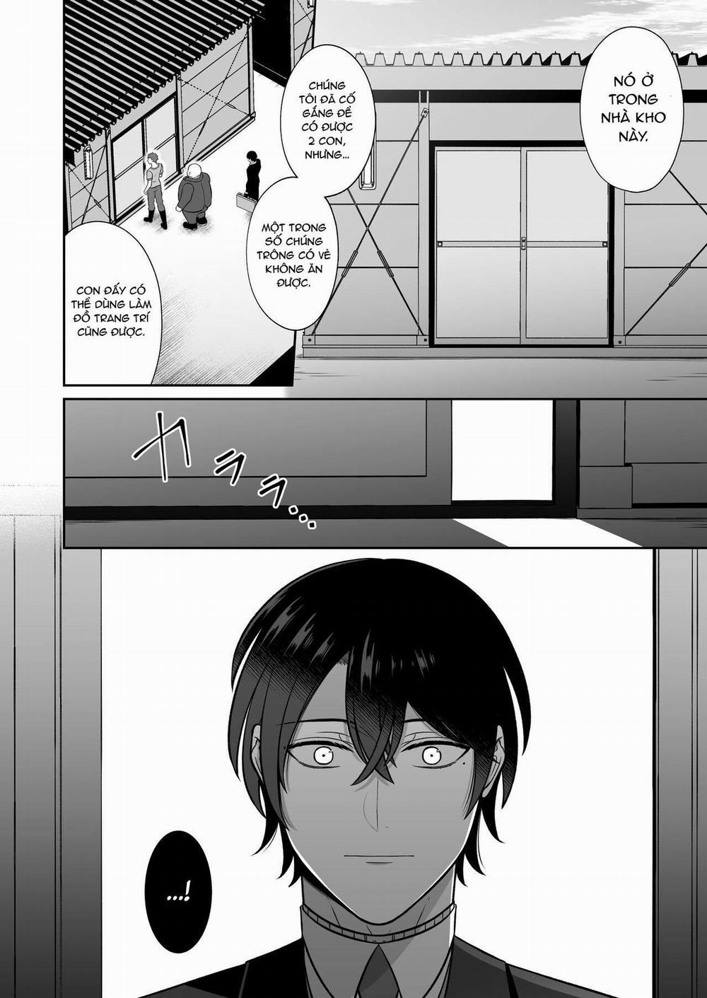 Ở đây có yaoi hơi bị choáy 266 trang 10