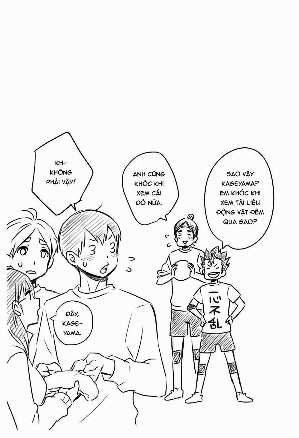 Ổ Sìn Otp 11 HinataxKageyama trang 22