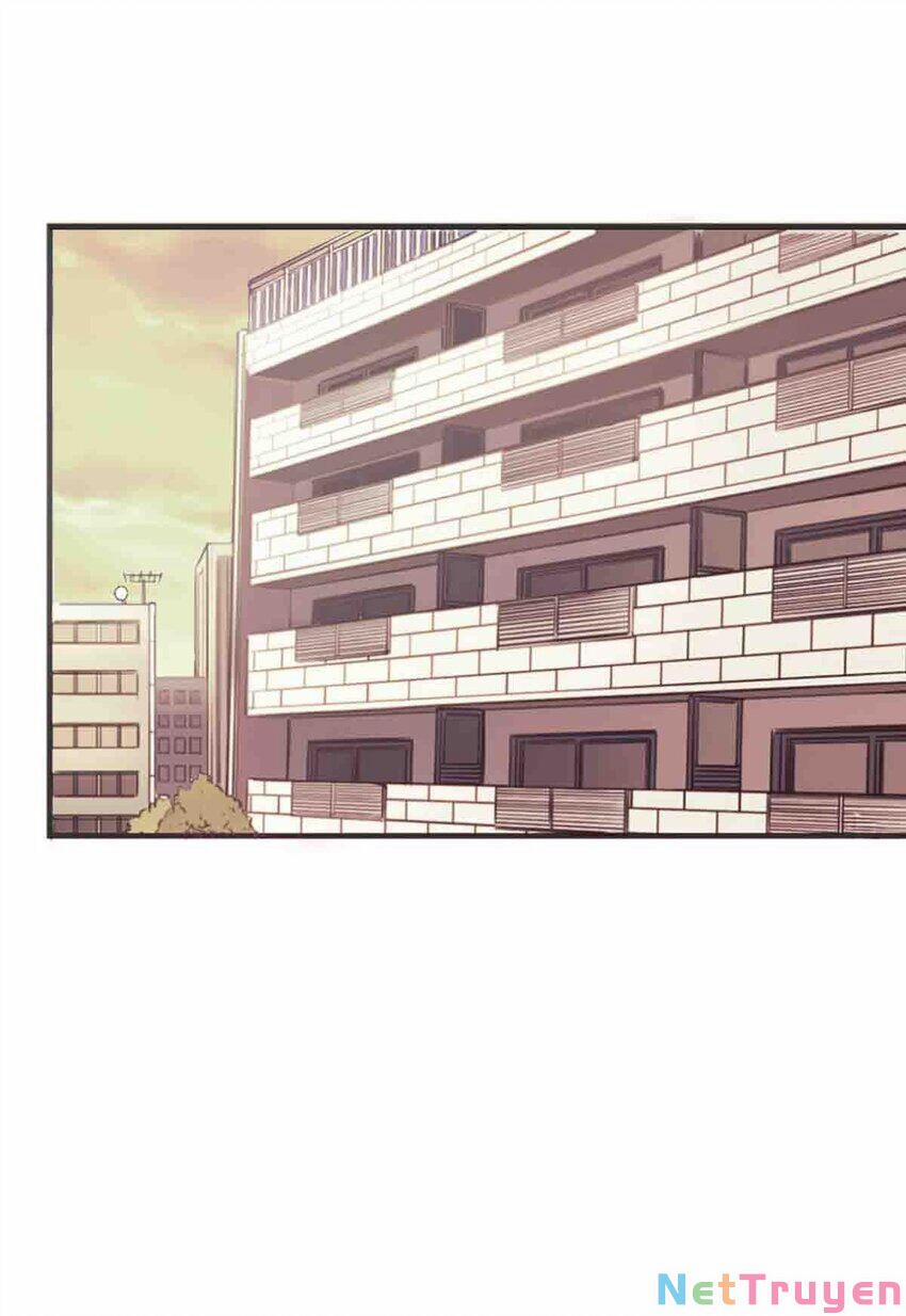 Oan Gia Chung Nhà ! 49 trang 11