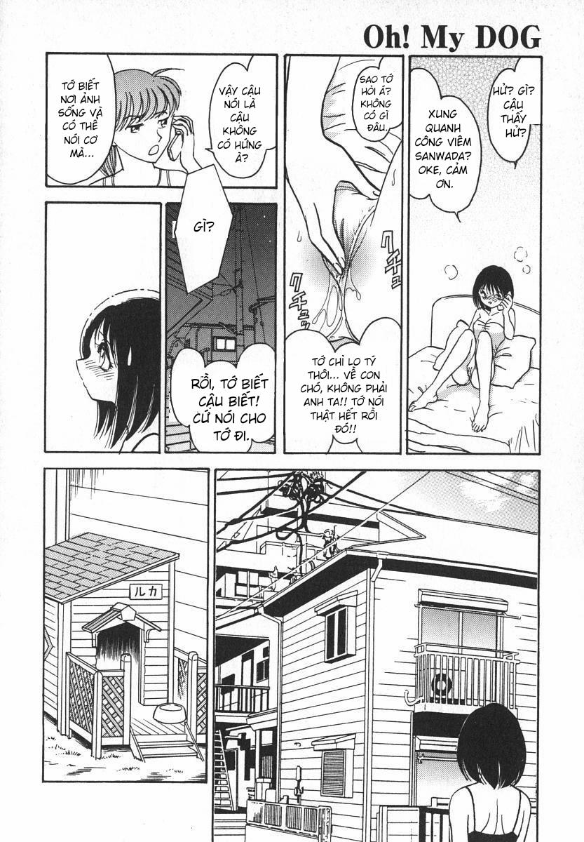 Oh! My DOG 8 trang 21