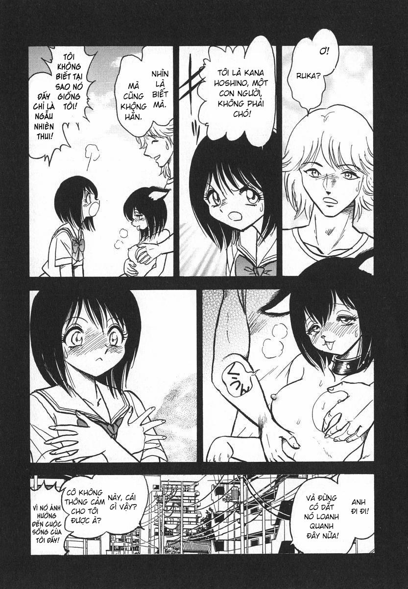 Oh! My DOG 8 trang 7