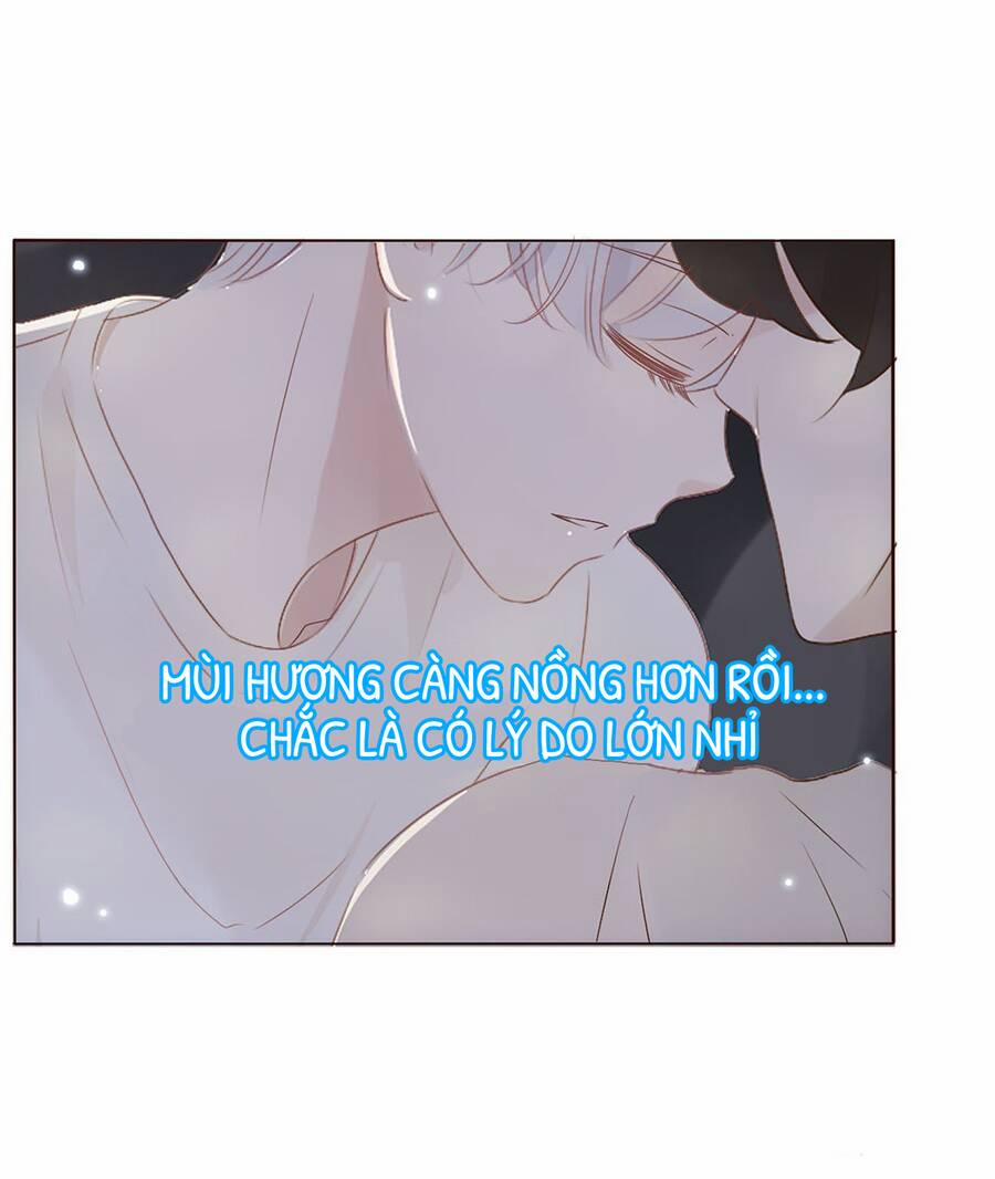 Ôm Hôn Mạc Nhiên 14 trang 3