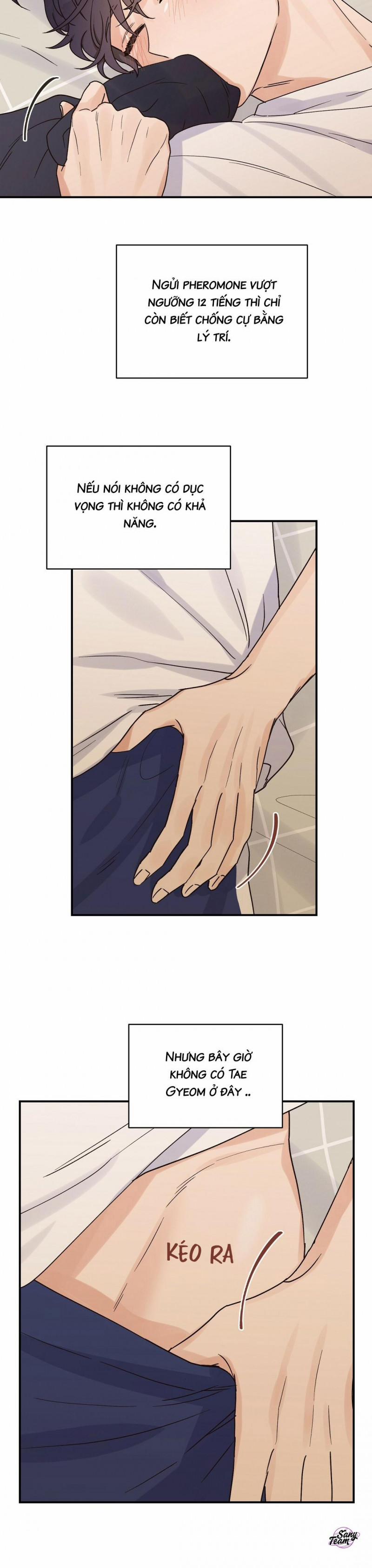 Omega Complex 13.5 trang 10