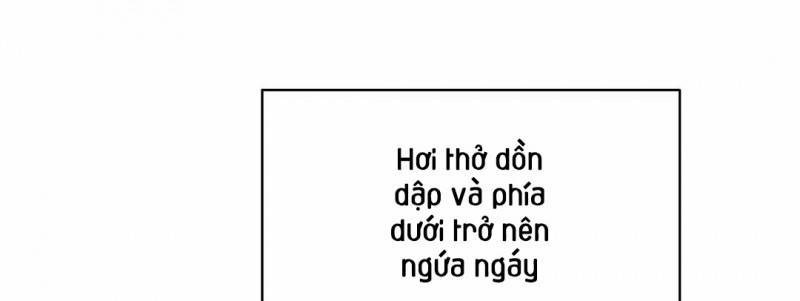 Omega Complex 17.5 trang 96