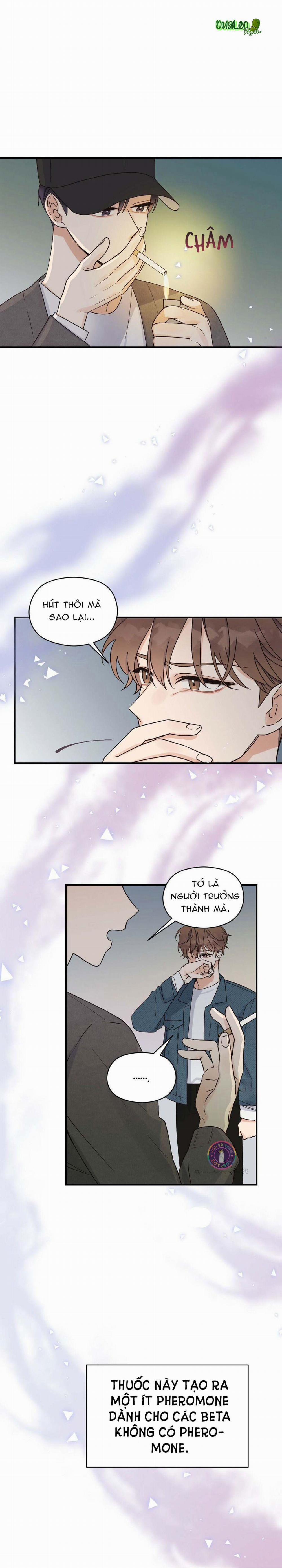 Omega Complex 3 trang 2