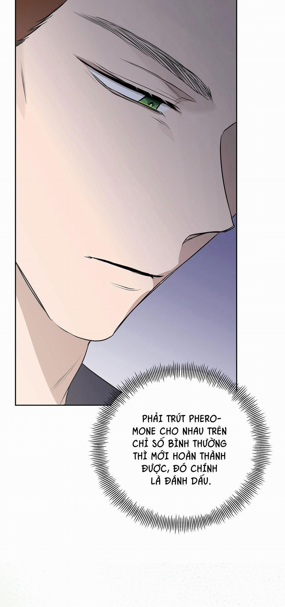 OMEGA HOÀN HẢO CỦA TÔI 16 trang 34