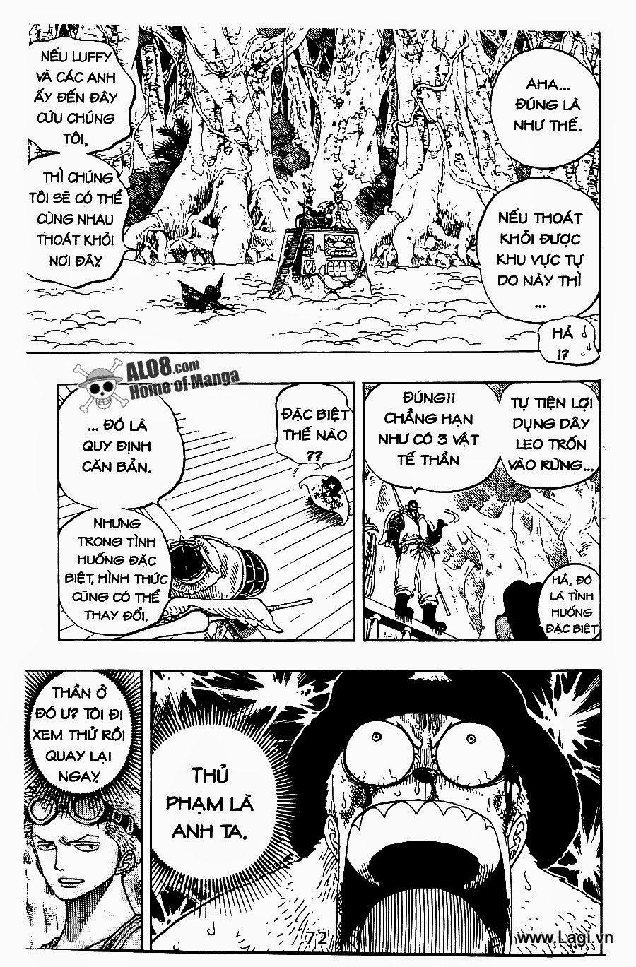 One Piece 248 trang 12