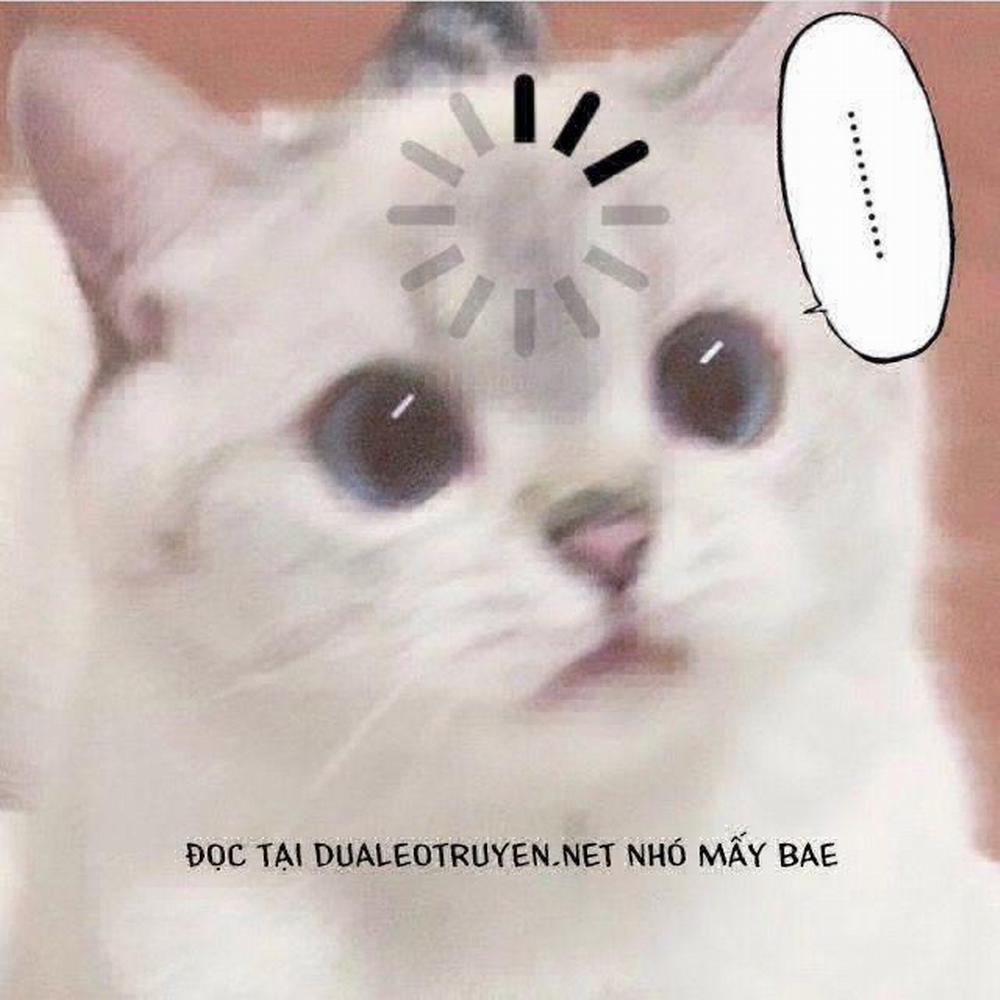 Oneshot Bl Từ Nhiều Tác Giả - Mlèo Dịch 11 trang 24