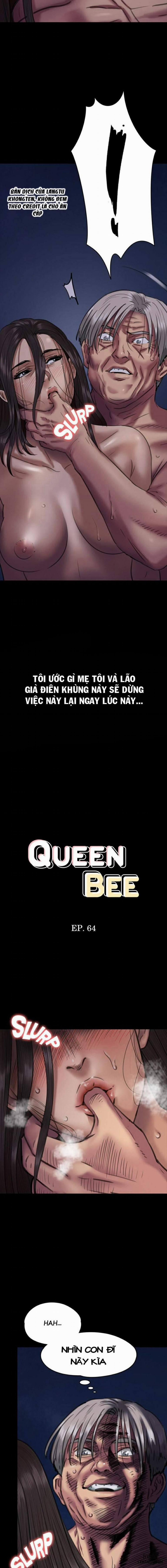 Ong Chúa 64 trang 1