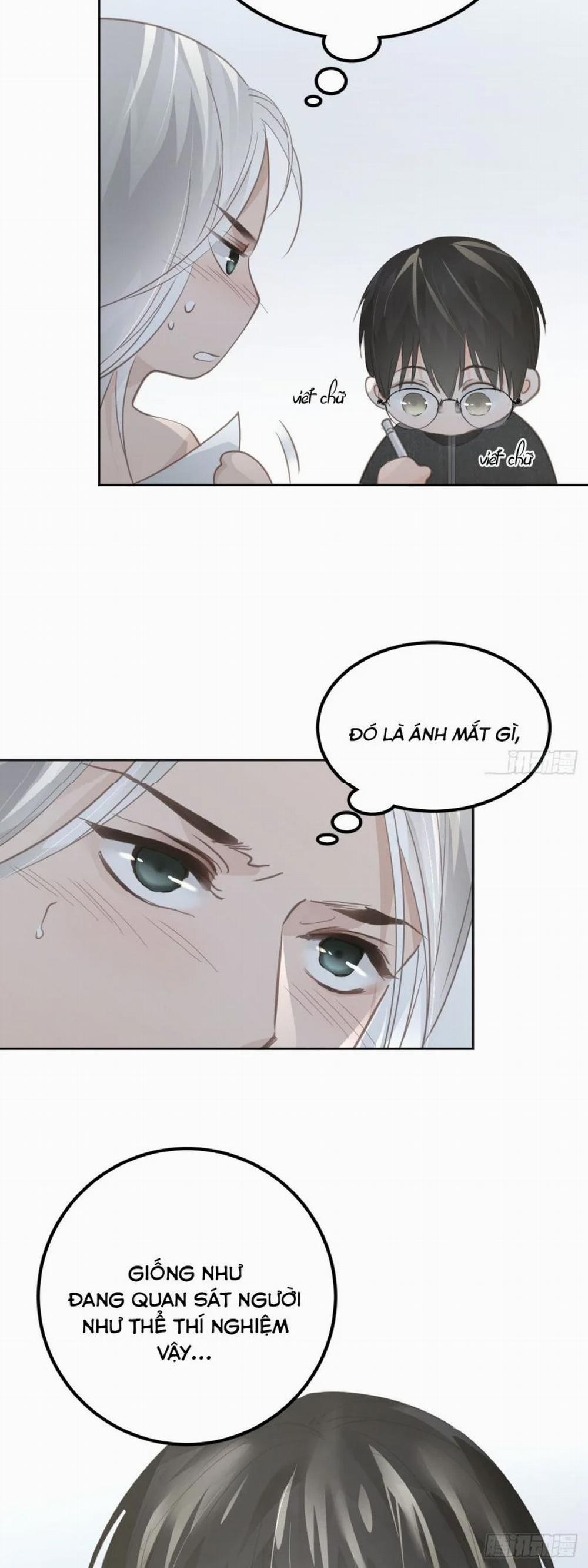 Ong Thợ 10 trang 41