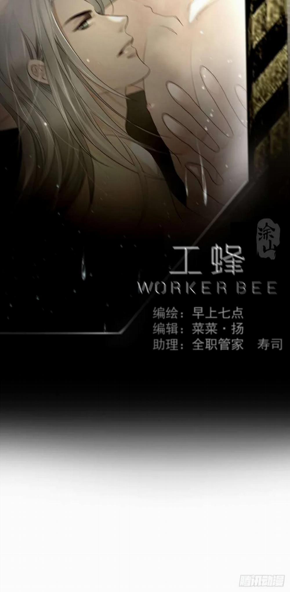 Ong Thợ 12 trang 42