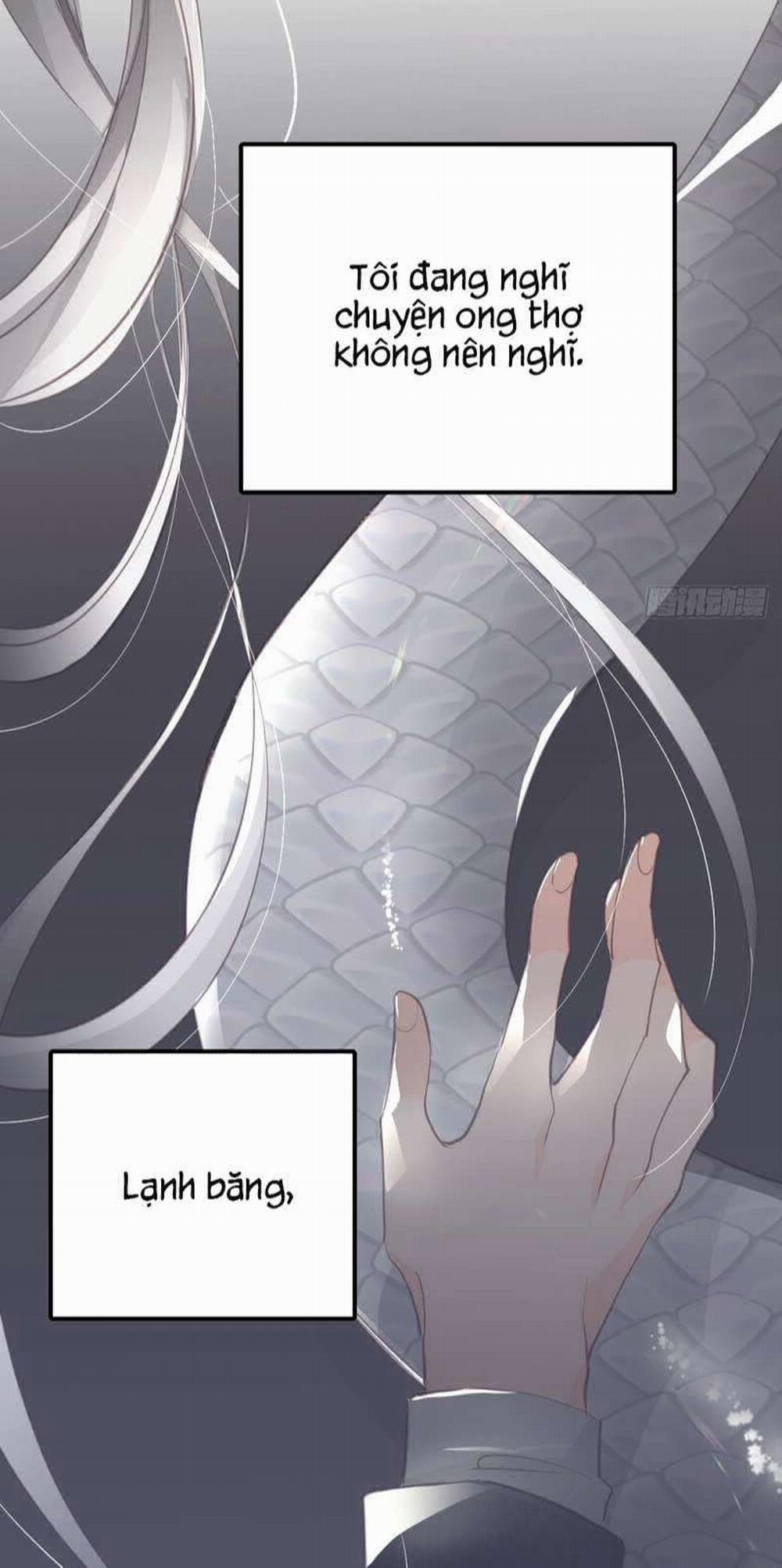 Ong Thợ 15 trang 41