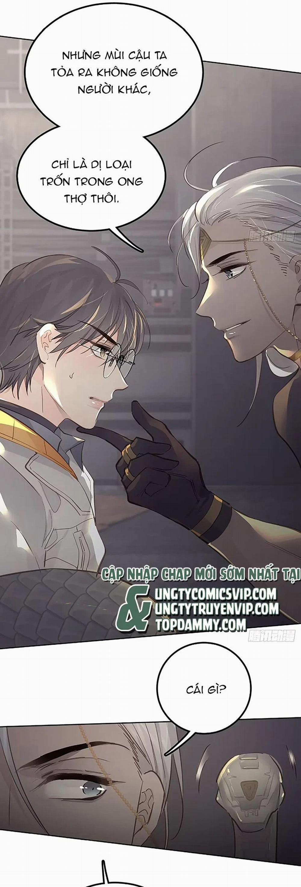 Ong Thợ 19 trang 6