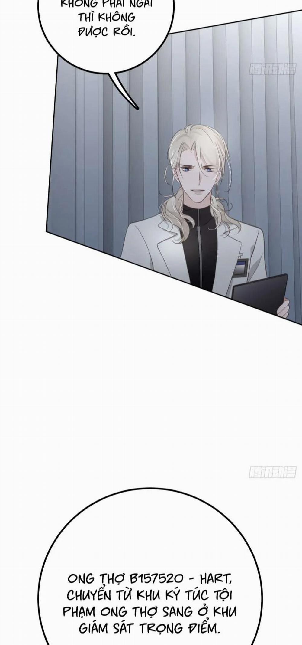 Ong Thợ 8 trang 45