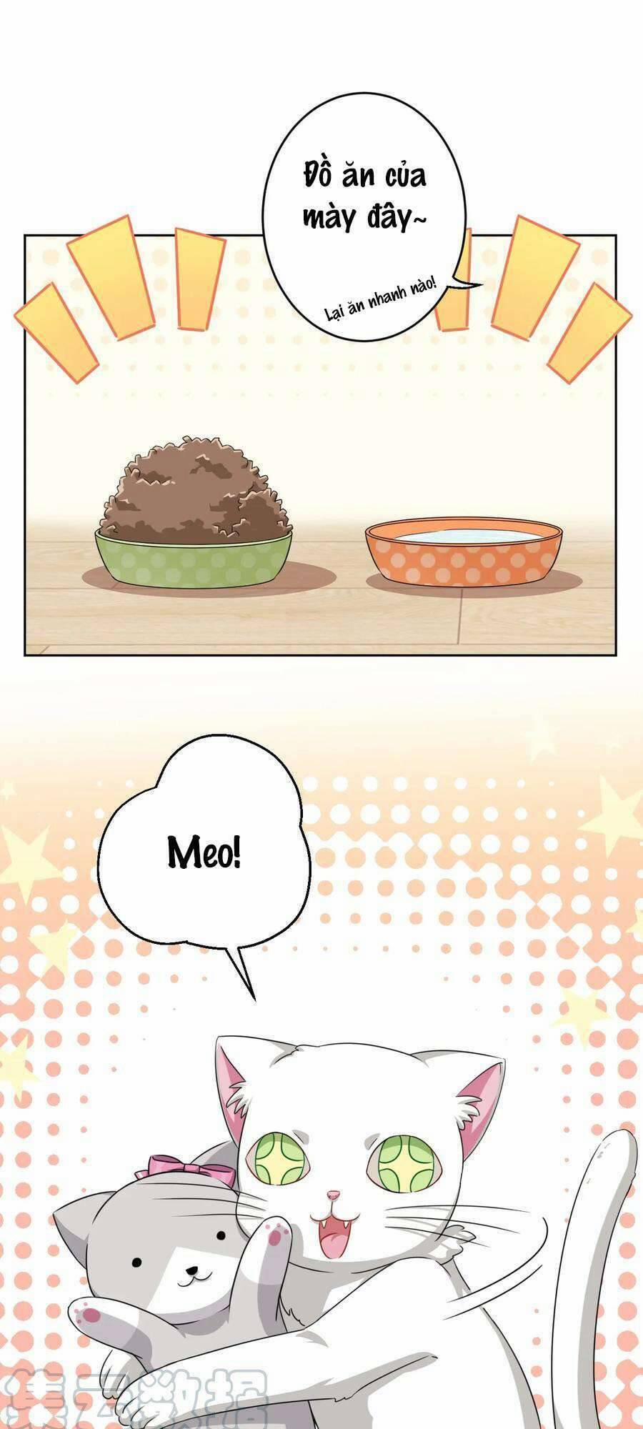 Ông Trời Đã Ban Cho Tôi Siêu Năng Lực Kỳ Lạ Gì Thế Này? 8 trang 7