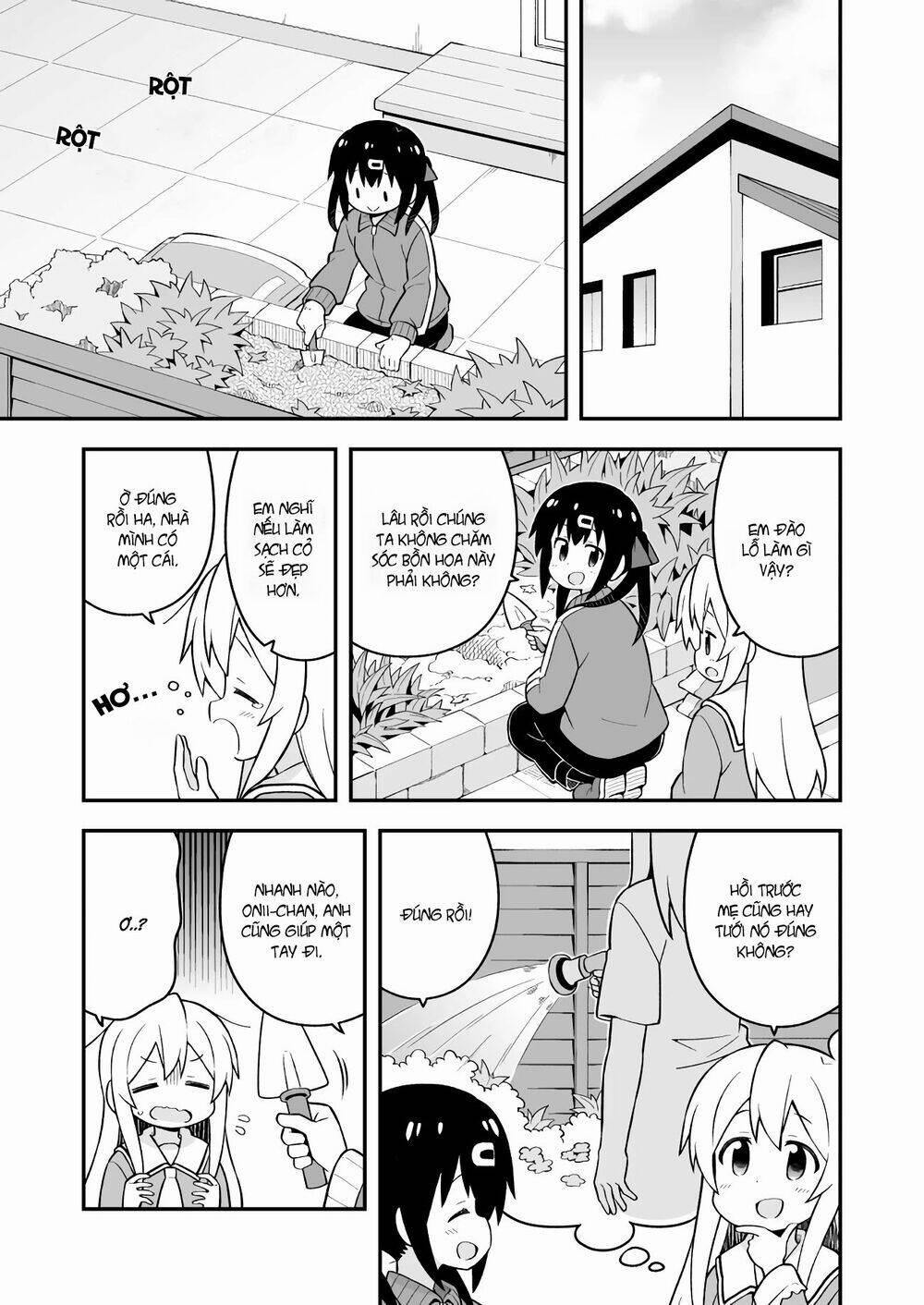 Onii-Chan Wa Oshimai 52 trang 3
