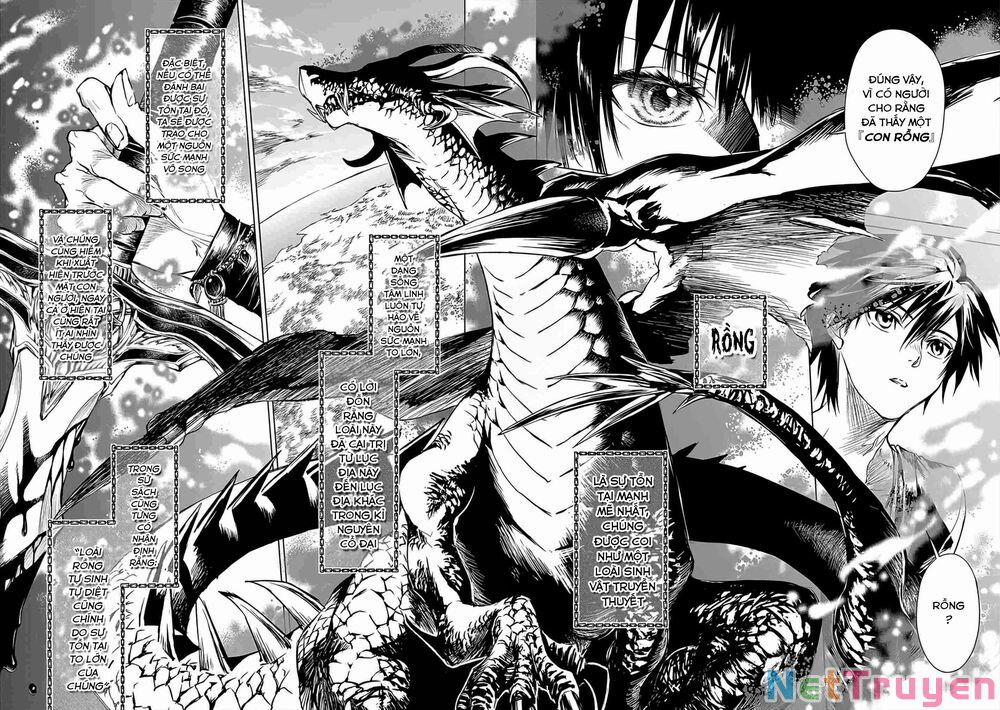 Ori Of The Dragon Chain – “Heart” In The Mind 3 trang 22