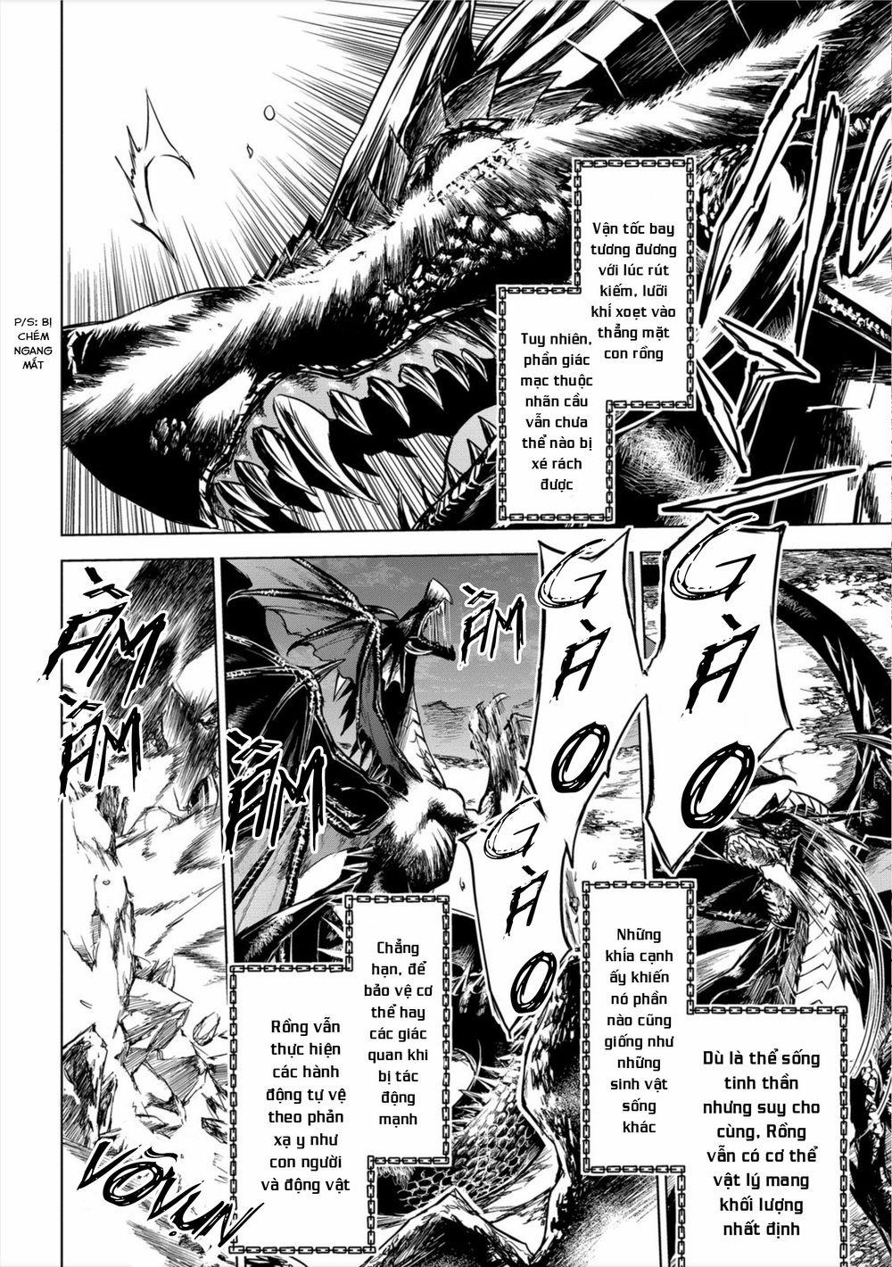 Ori Of The Dragon Chain – “Heart” In The Mind 8.1 trang 7