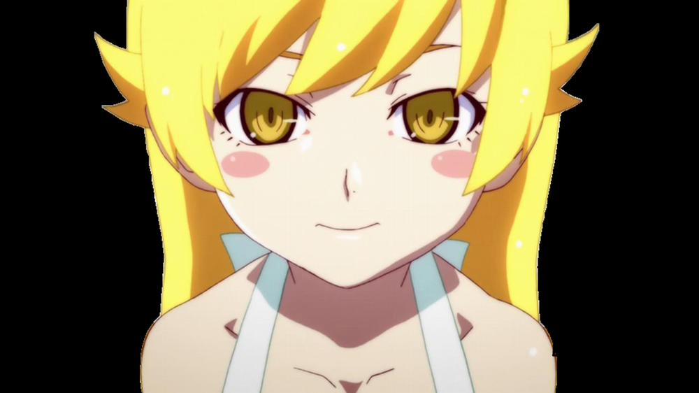 Pachimonogatari Part 4: Shinobu Envy (Bakemonogatari) Chương Oneshot Trang 23