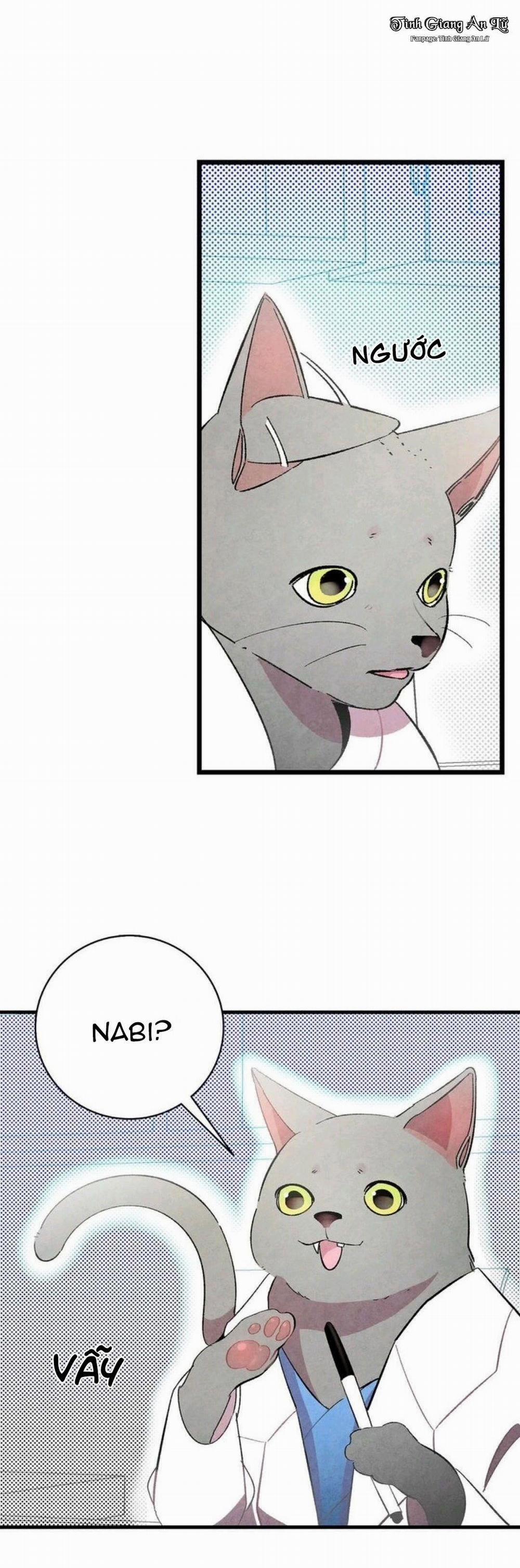 Papa Xương Khô Và Mèo Con 8 trang 45
