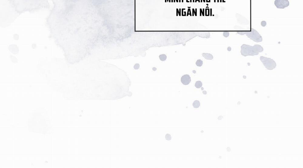 Passion 35 trang 217