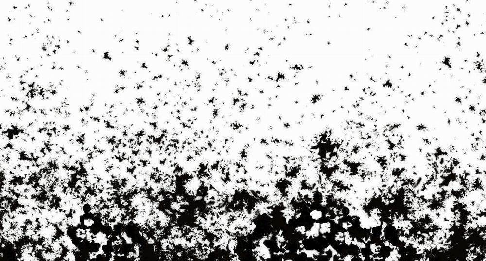 Passion 40 trang 240