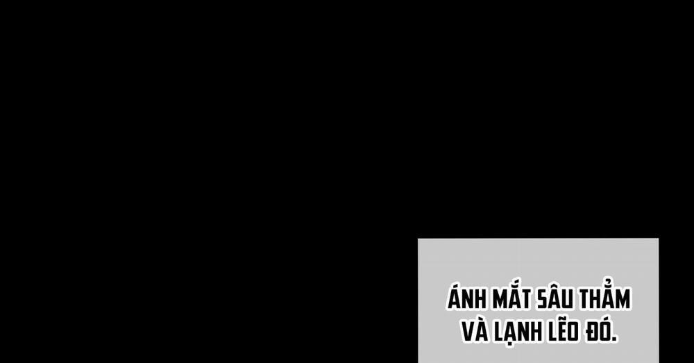 Passion 40 trang 246