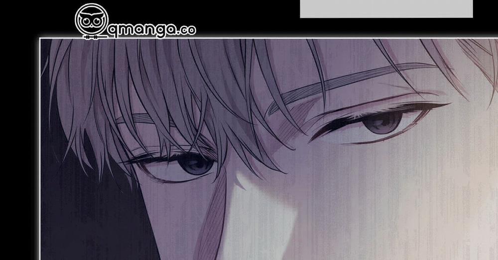 Passion 40 trang 247