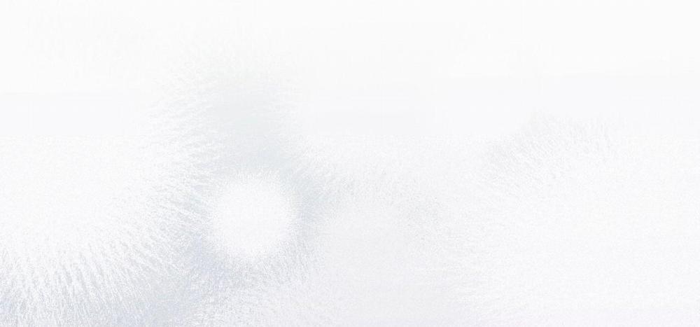 Passion 43 trang 156