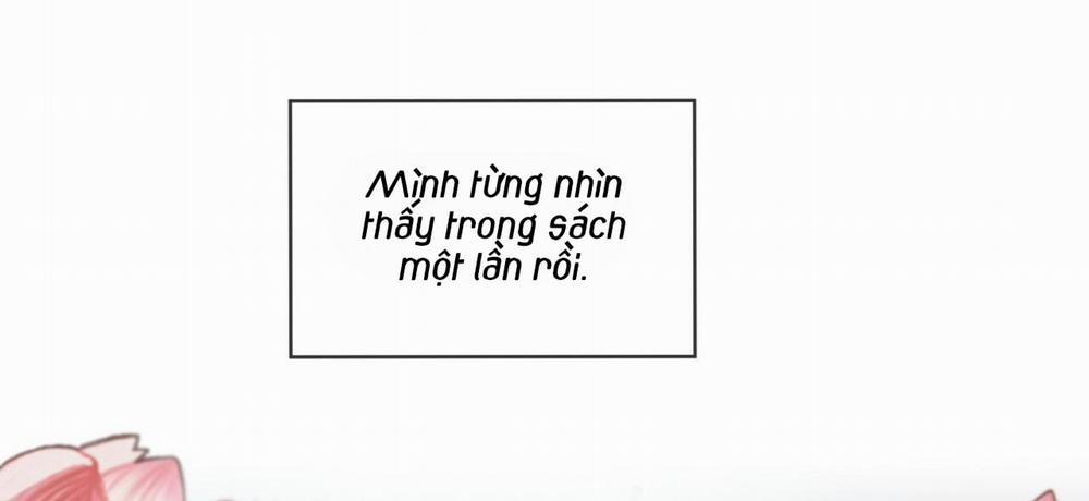 Passion 43 trang 247