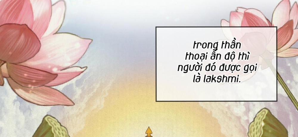 Passion 43 trang 248