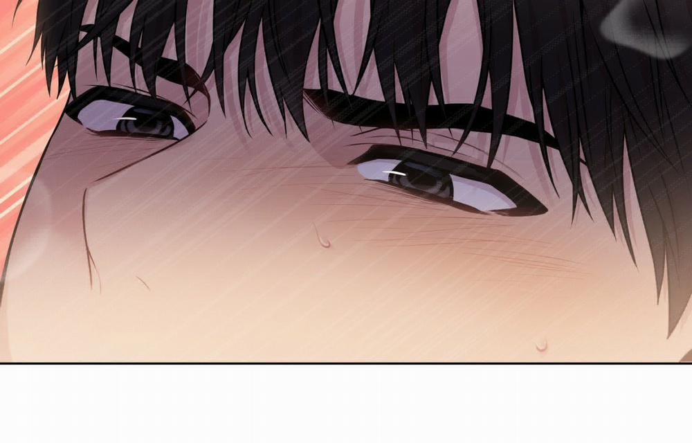 Passion 47 trang 156