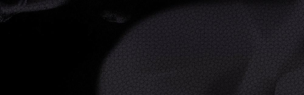 Passion 47 trang 191