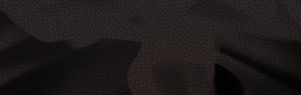 Passion 47 trang 195