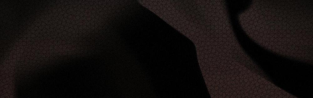 Passion 47 trang 196