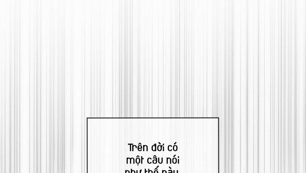 Passion 50 trang 198